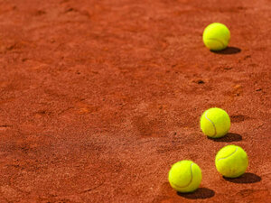 atp miami flashscore